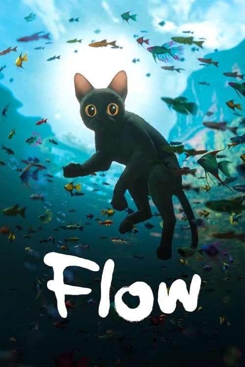 Watch the Trailer - Flow